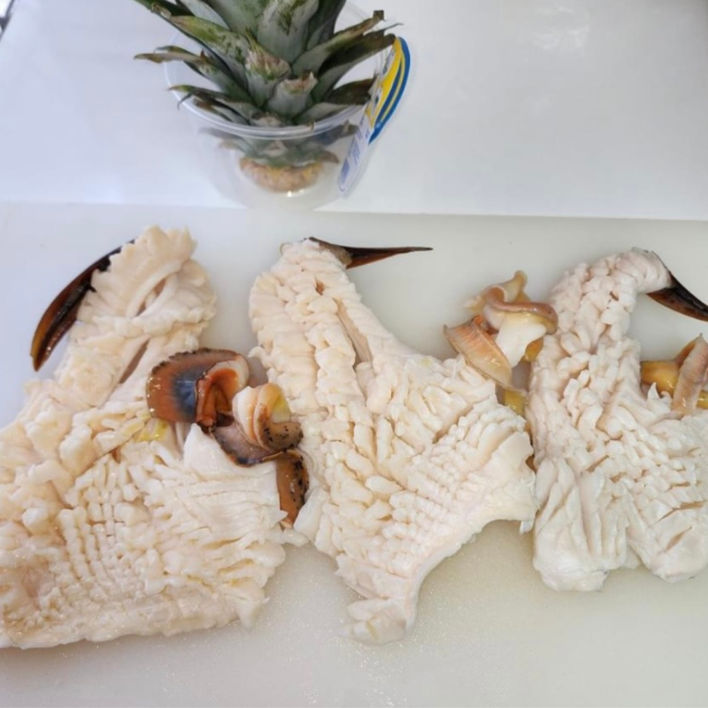 "Raw Conch with horn on a white board with pineapple top in background"