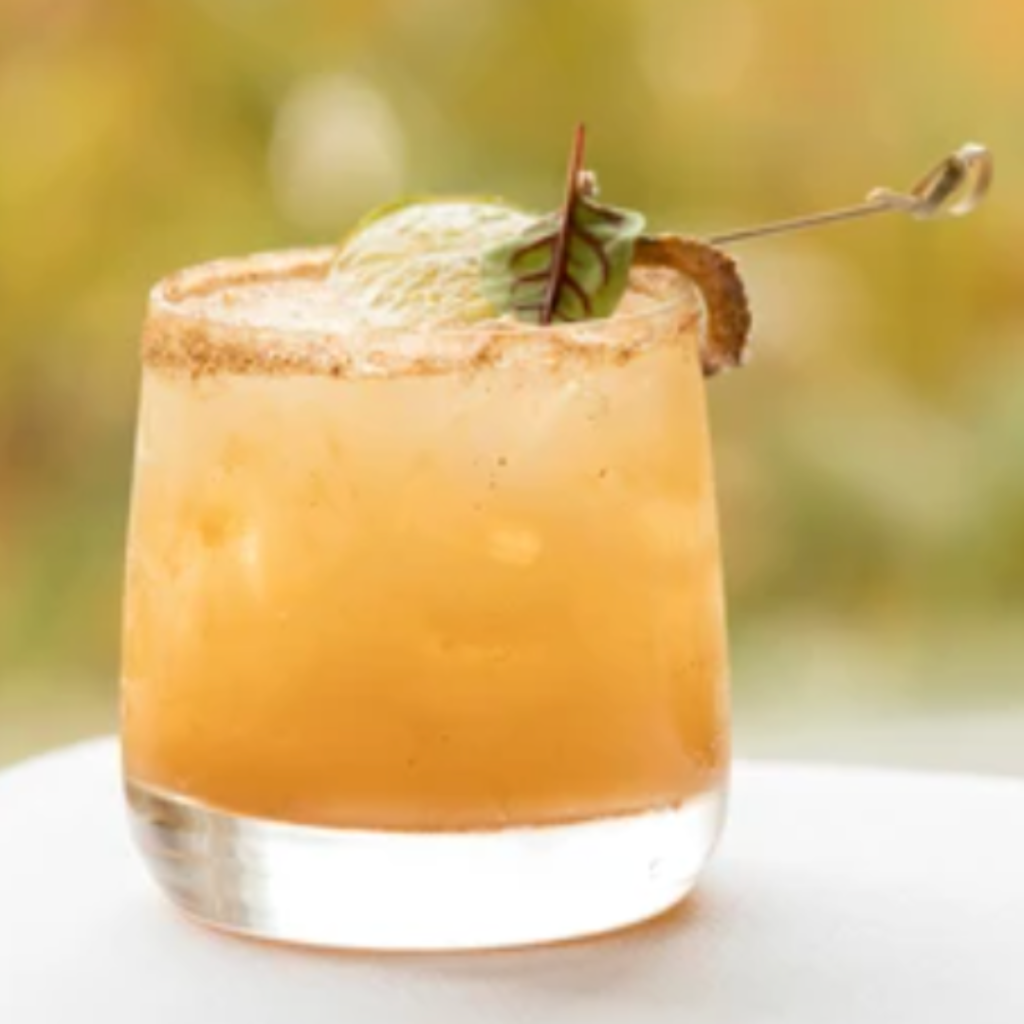 "pumpkin cocktail with salted rim glass on white background with garnish"