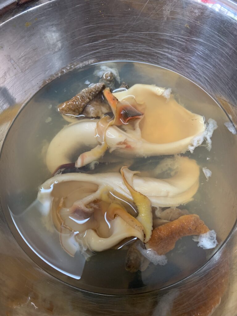 "Bahamian conch in water for conch fritters"