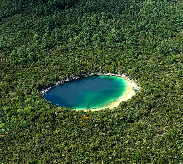 "a blue hole in the middle of lush green vegetation"