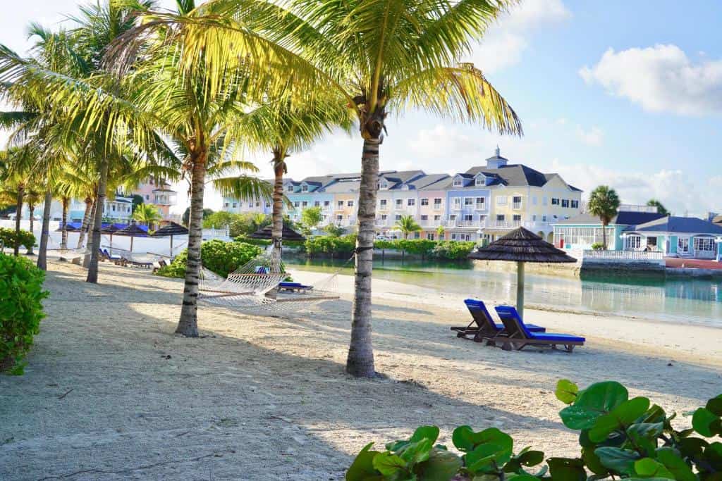 Sandy beach with palm trees, beach chairs and umbrellas