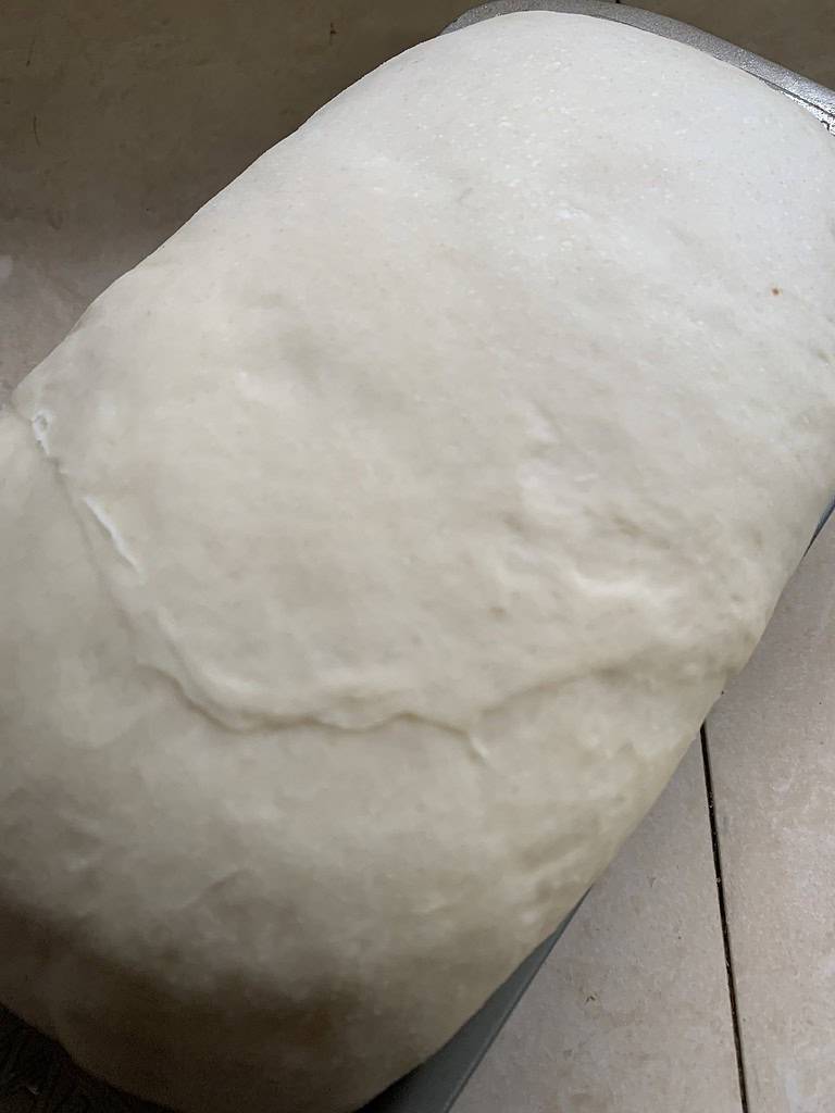 Bread dough proofed in loaf pan