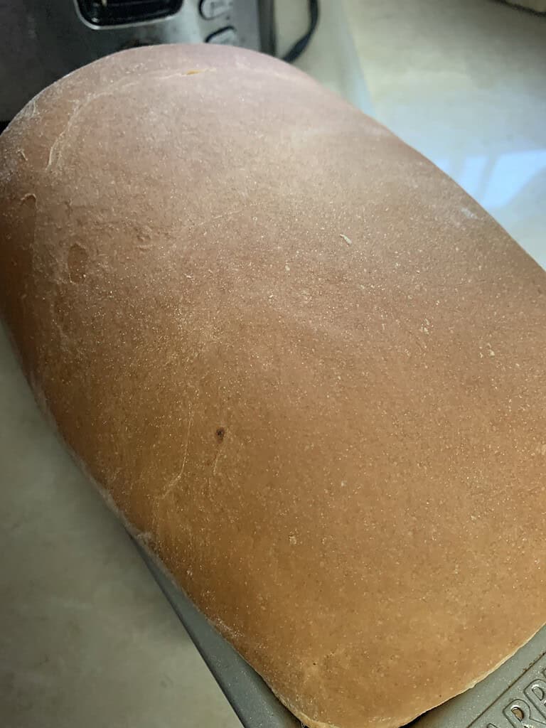 Bread in loaf pan sitting on a counter