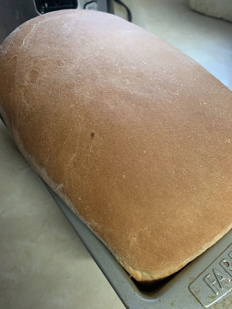 homemade bread in a loaf pan