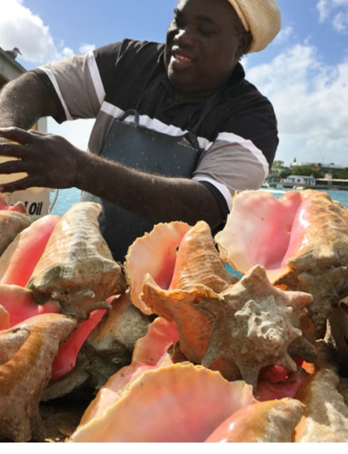 Bahamian Food History: An Enriching and Insightful Journey through the Islands