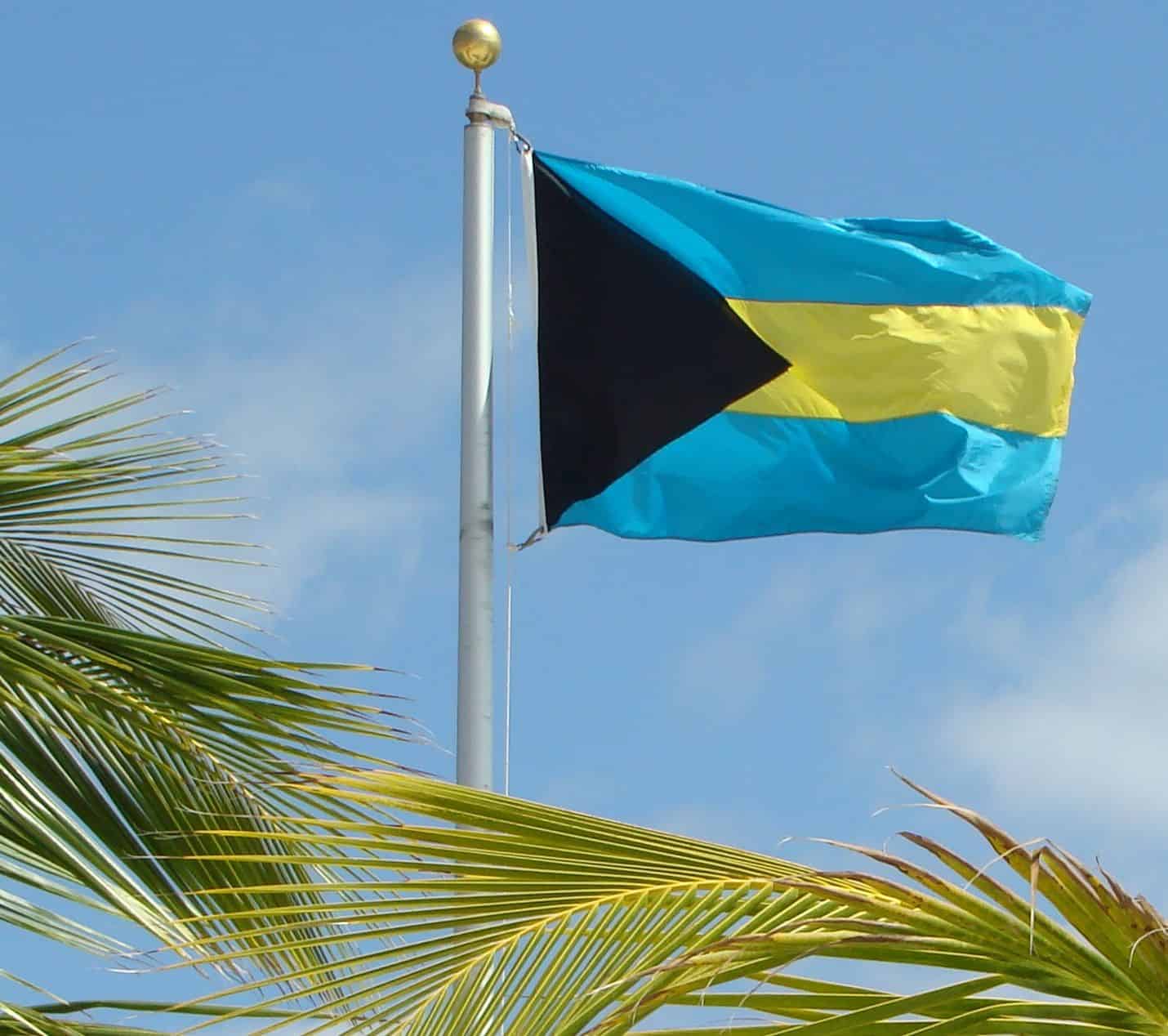 Bahamian flag with blue skies and palm trees in the background